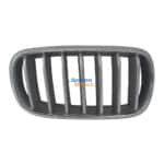 BMW F15 X5 Kidney Grille Silver With Chrome Frame Right 13-18