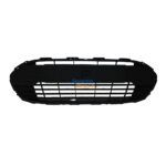 Ford Figo Bumper Grille Center 13-15