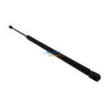 Renault Scenic Tailgate shocks L=R