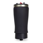 Rear Air Shocks For BMW E53 Models (RIGHT) - Image 3