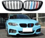 BMW F22 2 Series Dual Slat with Stripes Kidney Grilles 14-16