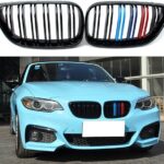 BMW F22 2 Series Dual Slat with Stripes Kidney Grilles 14-16